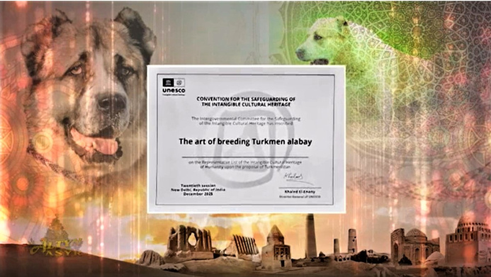  Знак мирового признания алабаев: в Ашхабаде торжественно приняли сертификат ЮНЕСКО