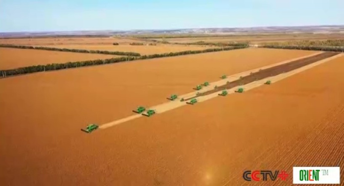  Си Цзиньпин призывает к решительному продвижению возрождения сельских районов во всех сферах