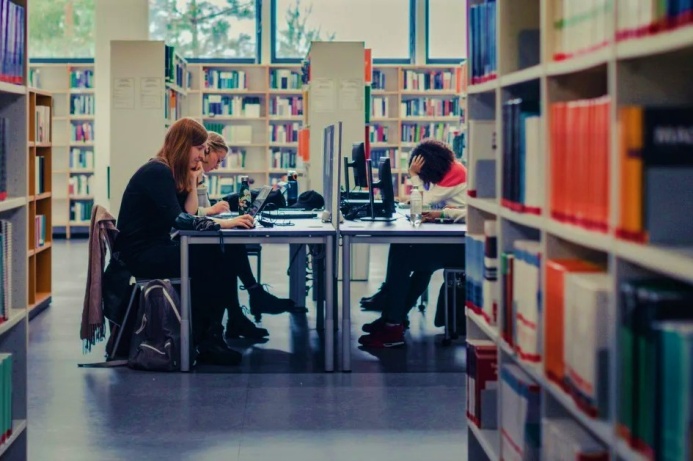  Какие направления в приоритете для обучения туркменской молодежи в вузах Румынии?