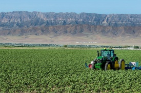 В Туркменистане введут новые меры финансовой поддержки сельхозпроизводителей