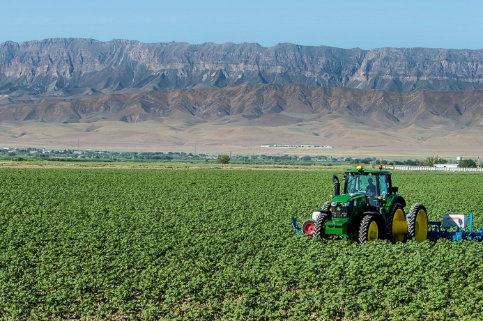  В Туркменистане введут новые меры финансовой поддержки сельхозпроизводителей