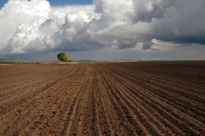  Agricultural Marathon and Winter Season: Key Topics of the Meeting of the President of Turkmenistan with the Heads of Regions