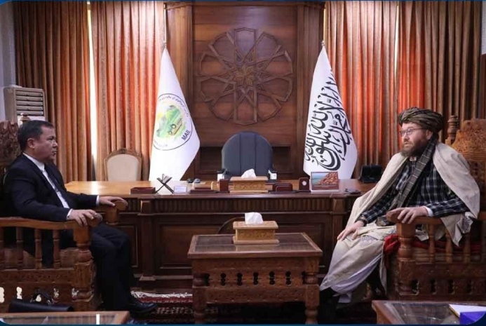  Кабул и Ашхабад согласовывают процедуру выкупа земель под газопровод ТАПИ