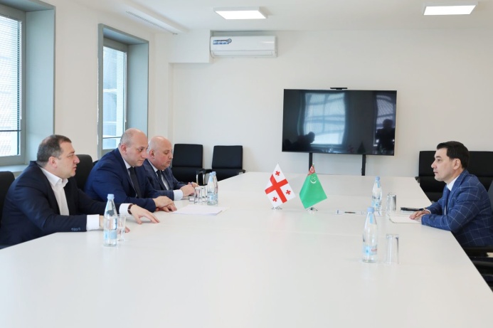  Meeting between the Ambassador of Turkmenistan and the Deputy Minister of Foreign Affairs of Georgia