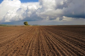 Туркменистан готовится к весенней посевной
