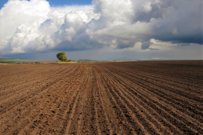  Туркменистан готовится к весенней посевной