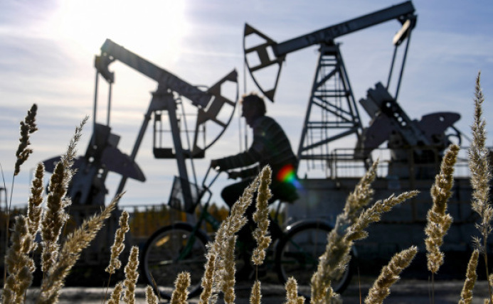  Afghanistan holds first tender for oil produced in the country