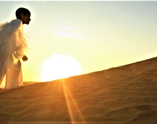 Почему туркменский фильм покорил зрителей в Астане