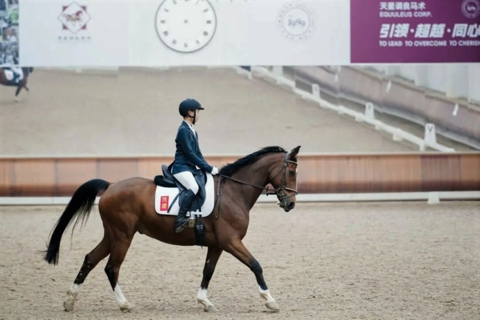  Национальный Лидер туркменского народа посетил конный комплекс Equuleus в Пекине